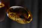 天然的金沙蜜蜡里面有气泡的原因及价值影响介绍